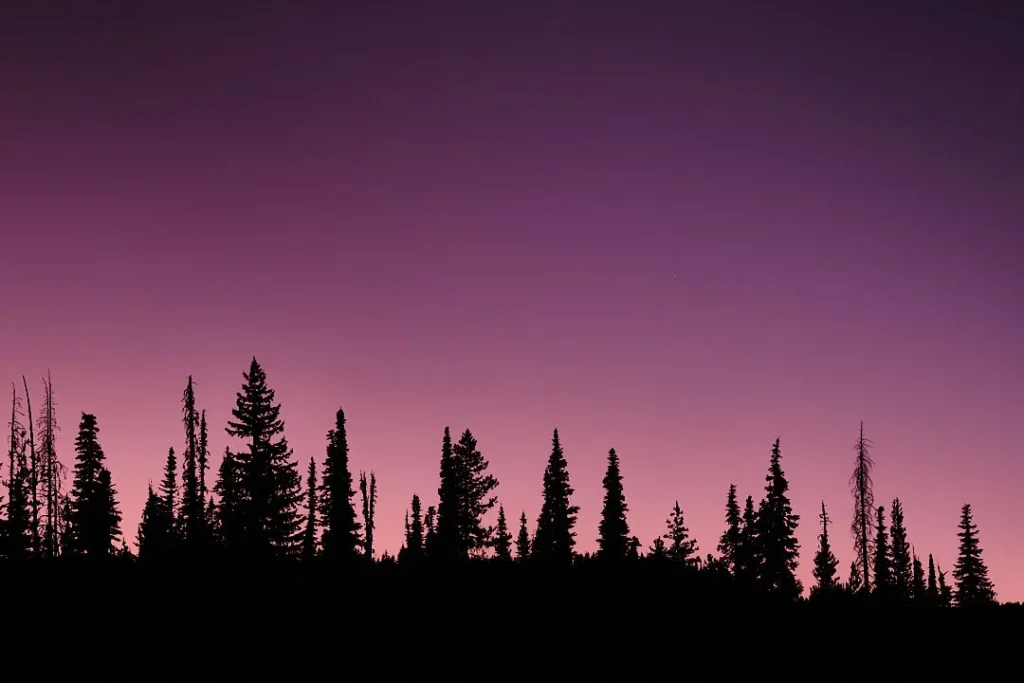 Purple Skies
