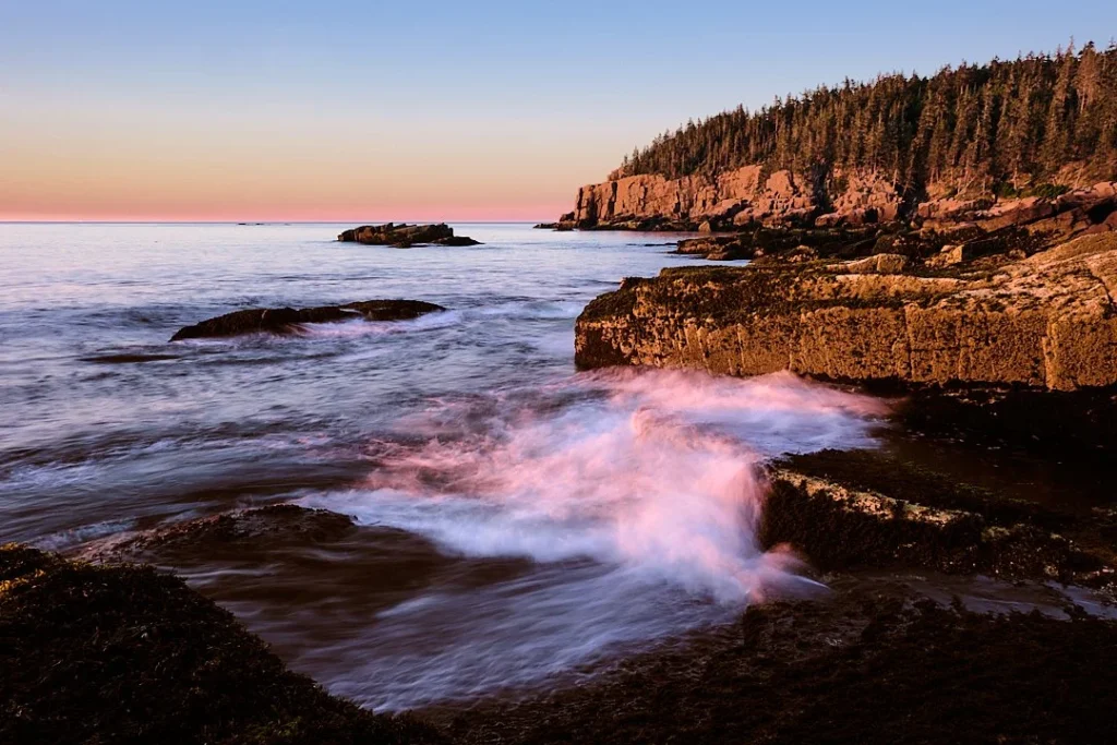 Acadia Morning
